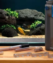 gallery-931-for-4010052947006