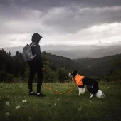 gallery-182-for-7071652296342