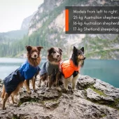 gallery-954-for-7071652296526