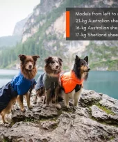 gallery-954-for-7071652296526