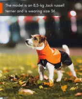 gallery-959-for-7071652296465