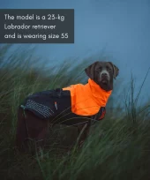 gallery-961-for-7071652296557