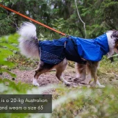 gallery-962-for-7071652294010