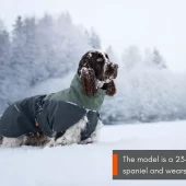 gallery-963-for-7071652324717