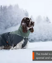 gallery-963-for-7071652324717