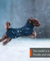 gallery-964-for-7071652325110