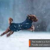 gallery-966-for-7071652324922