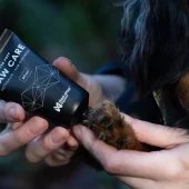 gallery-967-for-7071652020398