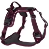 Non-Stop Ramble Harness, Purple, XS