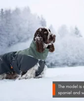 gallery-971-for-7071652325318