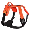 Non-Stop Ramble Harness, Black/Orange, L