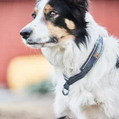 gallery-116-for-7071652015226