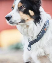 gallery-116-for-7071652015226