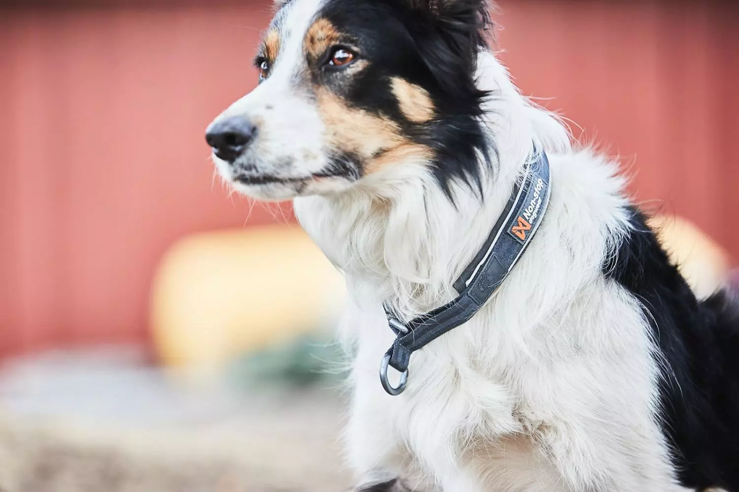 gallery-116-for-7071652015226