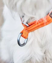 gallery-121-for-7071652015042