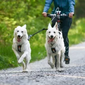 gallery-999-for-7071652163118