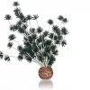 biOrb Bonsai ball black