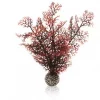 biOrb Sea fan S crimson