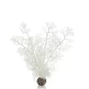 biOrb Sea fan M white