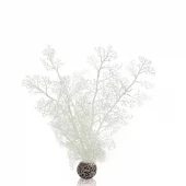 biOrb Sea fan M white