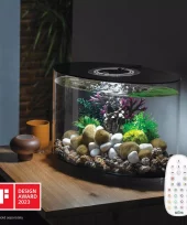 gallery-1001-for-822728864739