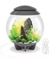 biOrb HALO 30 MCR grey