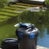 gallery-1005-for-4010052504537