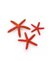 biOrb starfish Set 3 red