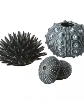 biOrb sea urchins set black