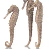 biOrb seahorse 3 pack natural