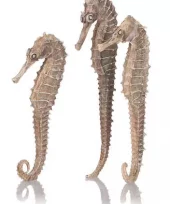 biOrb seahorse 3 pack natural