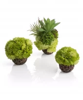 biOrb coral ball set green
