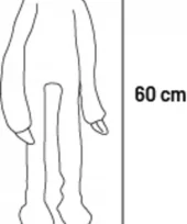 gallery-1025-for-5400585364729