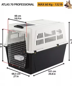 gallery-101-for-8010690058191