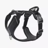 Dog Copenhagen Comfort Walk Pro™ Harness Black XS