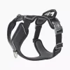 Dog Copenhagen Comfort Walk Pro™ Harness Black XL