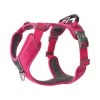 Dog Copenhagen Comfort Walk Pro™ Harness Wild Rose XL
