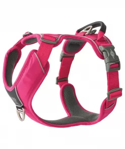 Dog Copenhagen Comfort Walk Pro™ Harness Wild Rose XL
