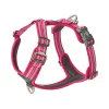 Dog Copenhagen Comfort Walk Air™ Harness Wild Rose XL