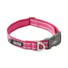 Dog Copenhagen Urban Style™ Collar Wild Rose L