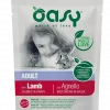 Oasy Cat Adult lam, biter i saus pouch (85 gr)