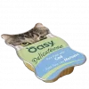 Oasy Cat torsk, delicatesse (85 gr)
