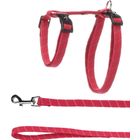 KATTESELE  + BÅND store katter Elza Coral red