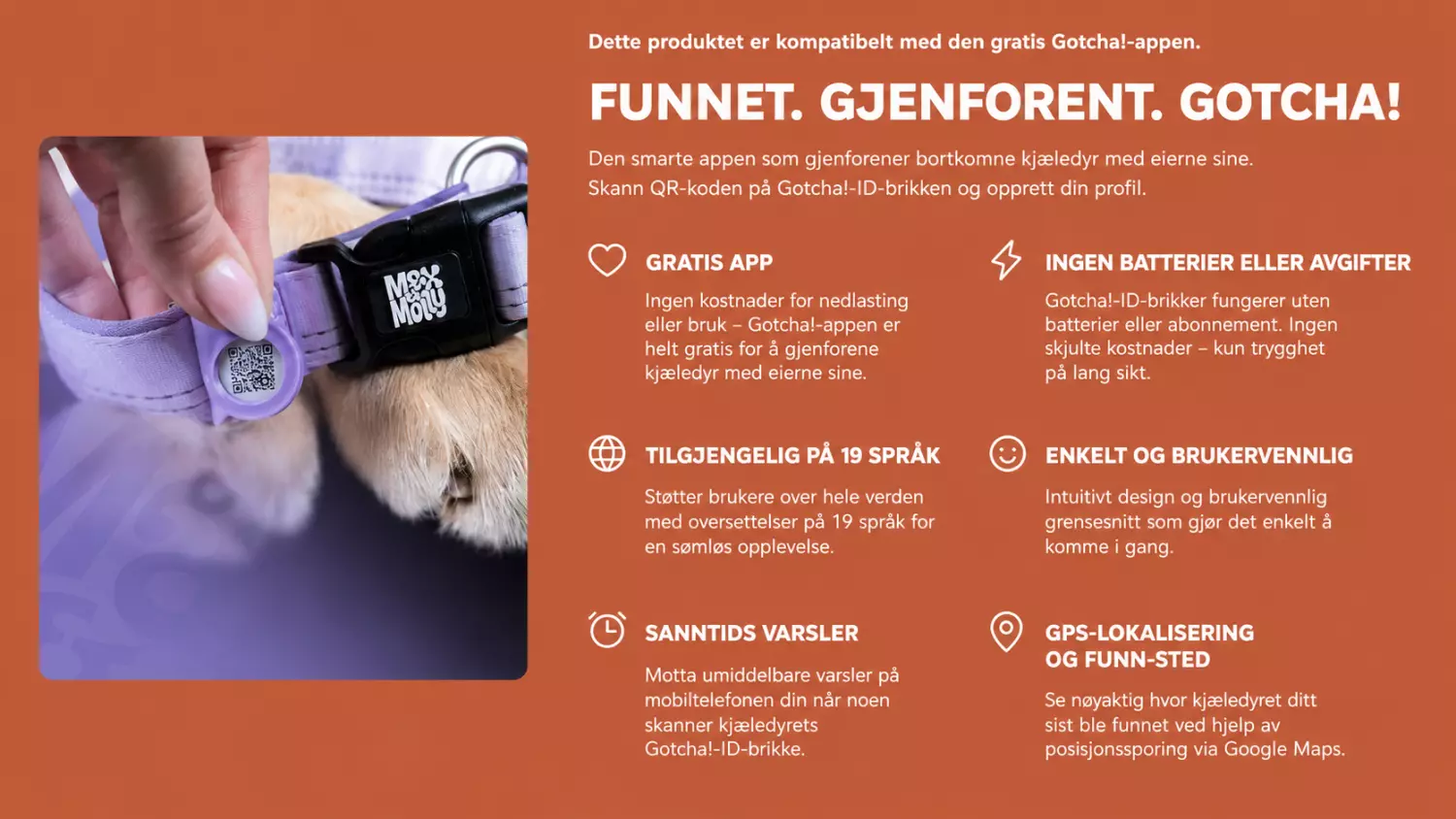 Gotcha Smart ID-brikke og app for gjenforening av bortkomne kjæledyr