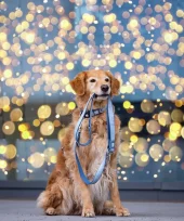 gallery-1256-for-4255636824995