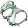 Max & Molly Sport Harness - Matrix 2.0 Jade/L
