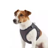 Max & Molly Air Vest - Matrix 2.0 Stone/XXL