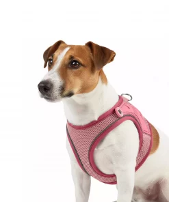 Max & Molly Air Vest - Matrix 2.0 Rose/XL