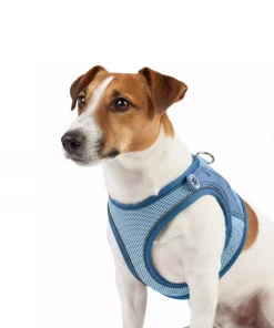 Max & Molly Air Vest - Matrix 2.0 Ocean/XXL