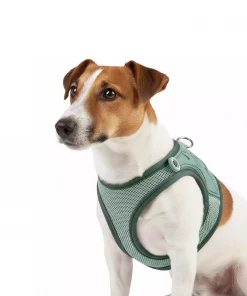Max & Molly Air Vest - Matrix 2.0 Jade/M